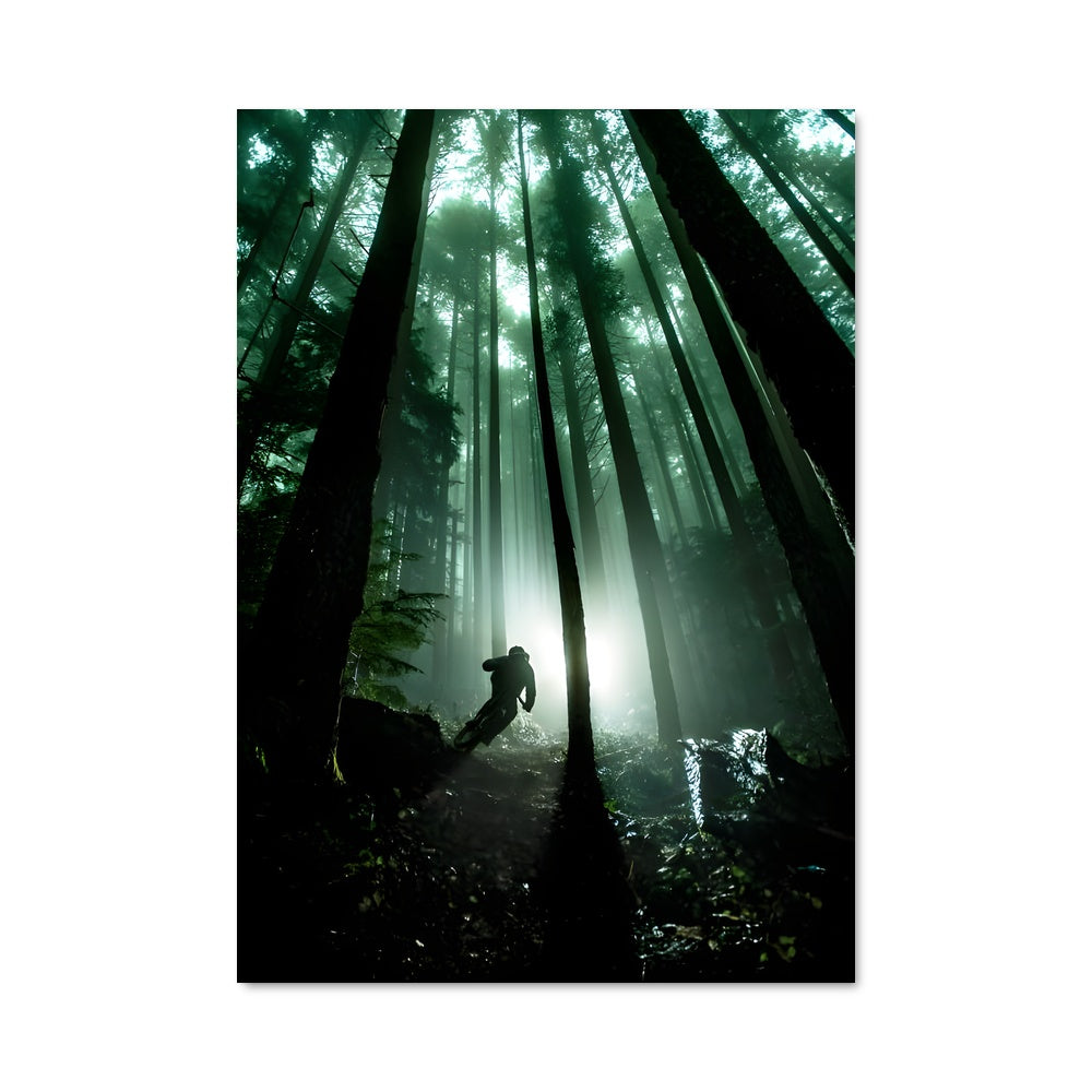 Poster Brandon semenuk 65029