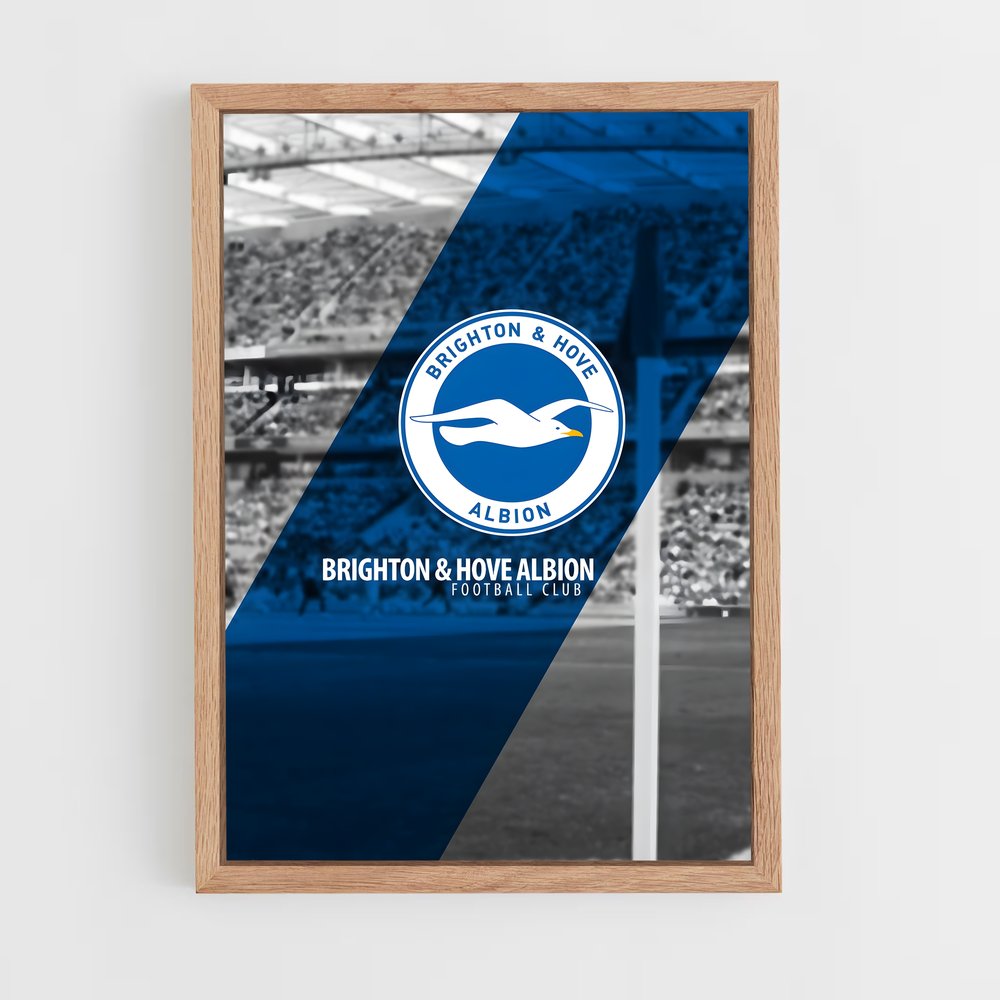 ap-brighton hove albion fc-2 cadre Bois clair