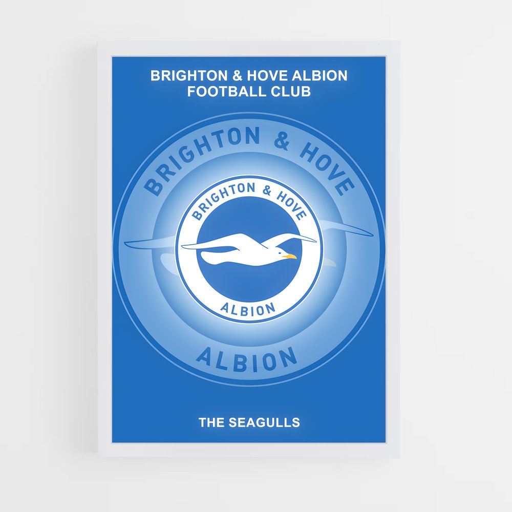ap-brighton hove albion fc-7 cadre Blanc