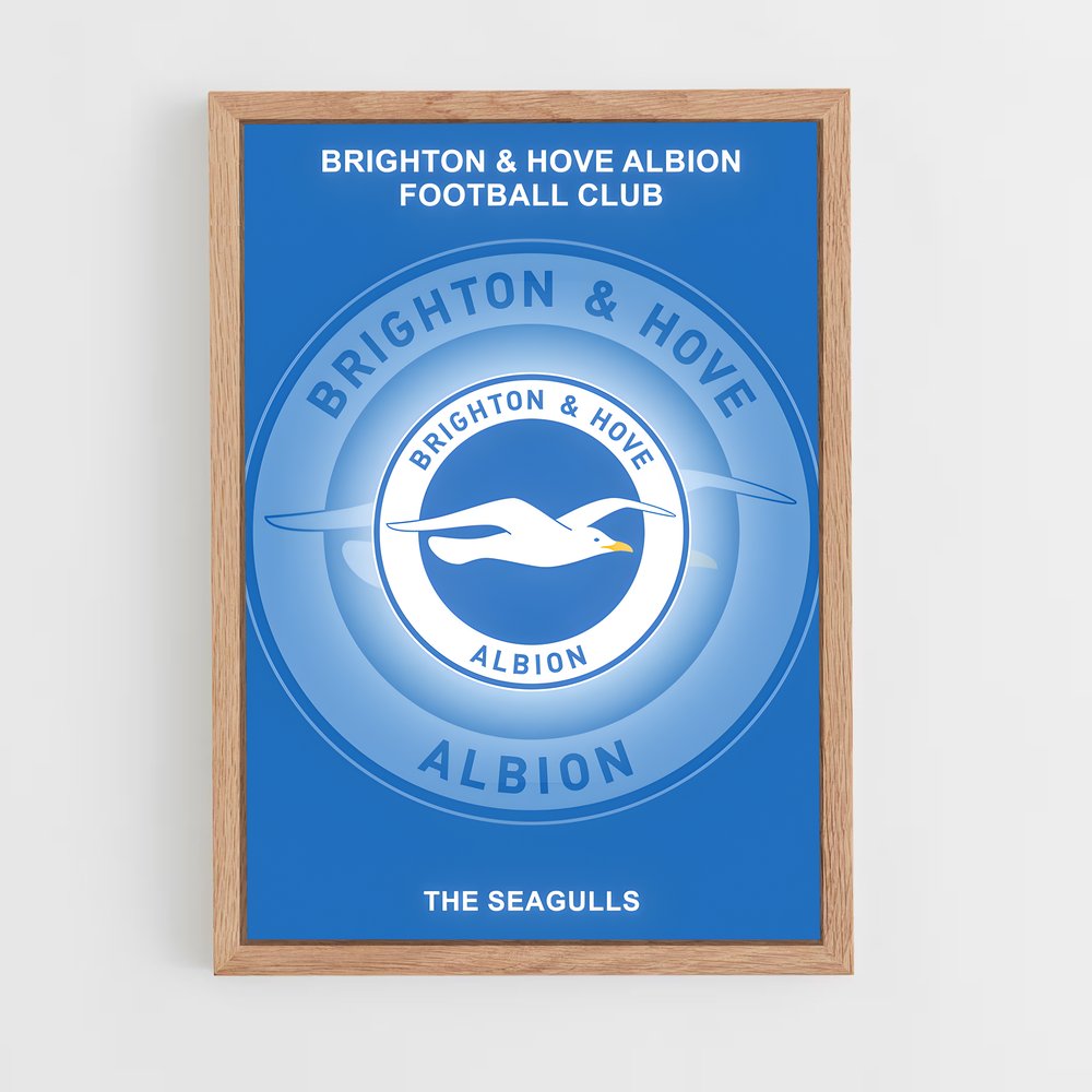 ap-brighton hove albion fc-7 cadre Bois clair