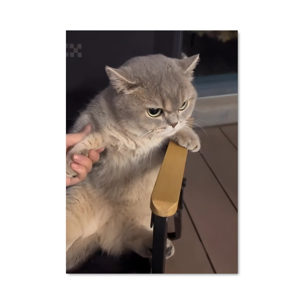 Poster Le Chat Impertinent