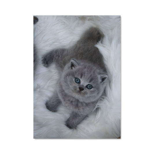 Poster Douceur Britannique