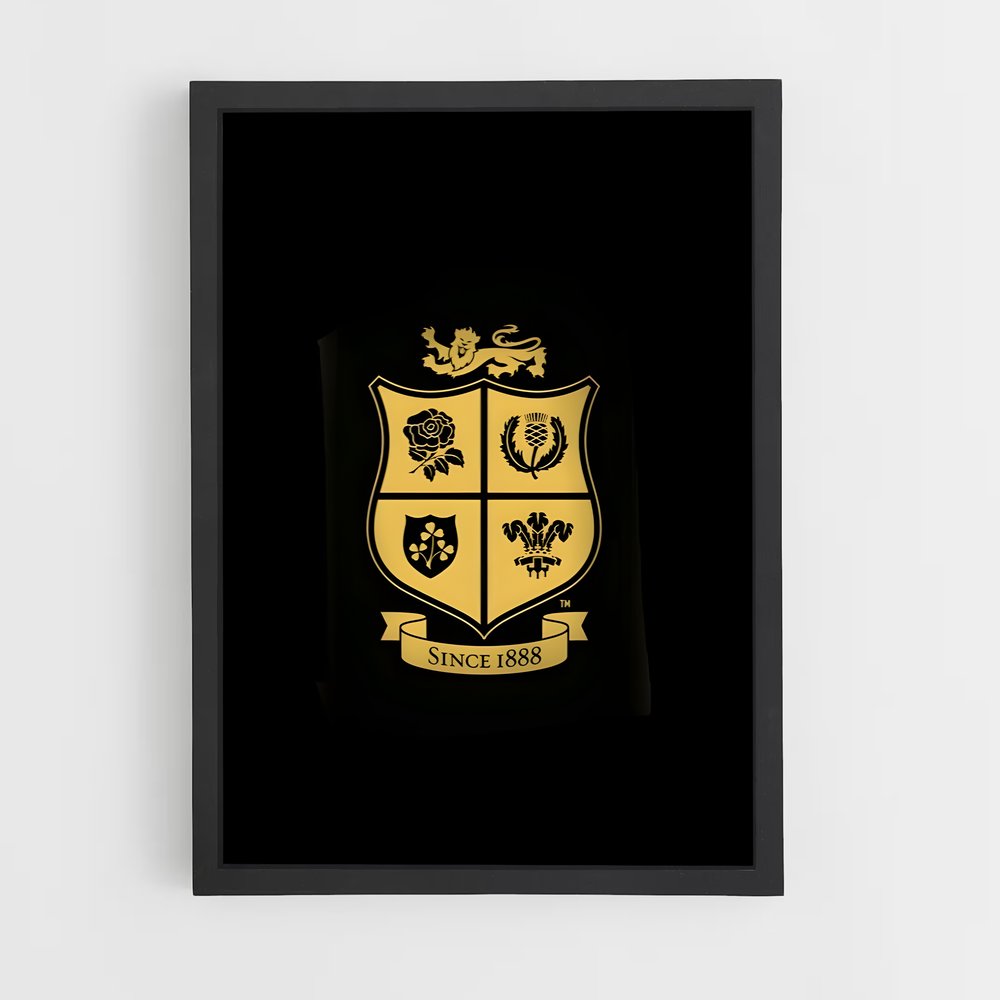 ap-british and irish lions-1 cadre Noir