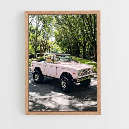 ap-bronco-7 cadre Bois clair