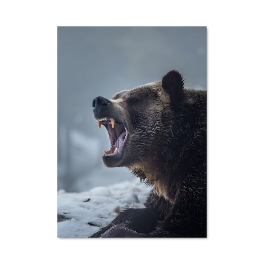 Poster L'Ours Brun
