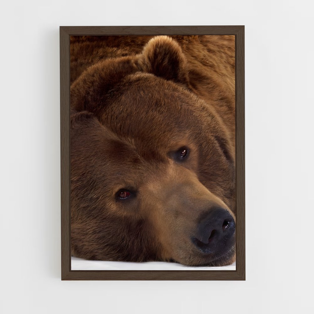 ap-brown bear-4 cadre Bois foncé