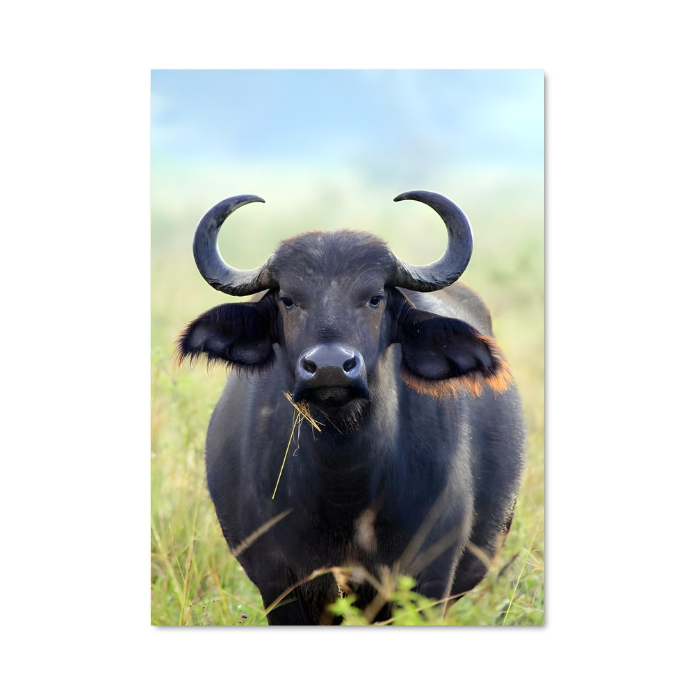 Poster Force de la Prairie