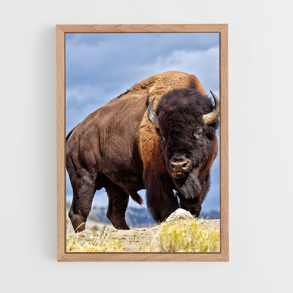 ap-buffalo-6 cadre Bois clair