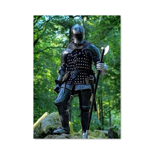 Poster La Gloire du Chevalier