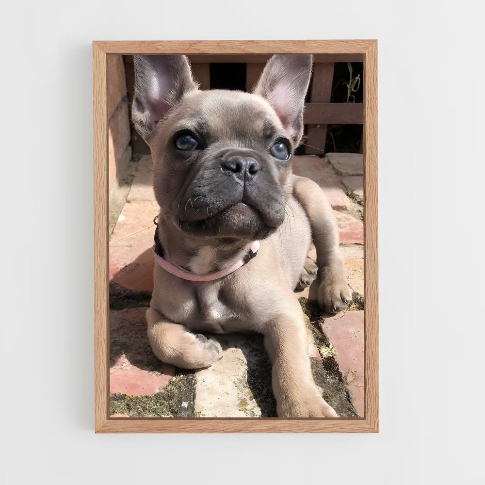 ap-bulldog-2 cadre Bois clair