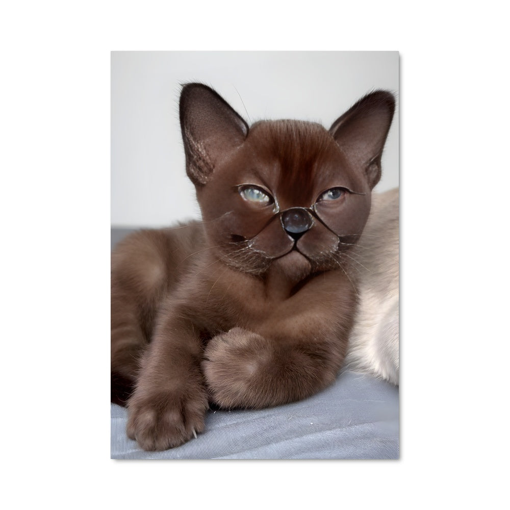 Poster Burmese 84693