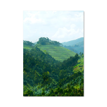 Poster Vallée Verdoyante