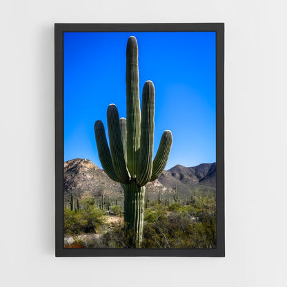 ap-cactus-3 cadre Noir