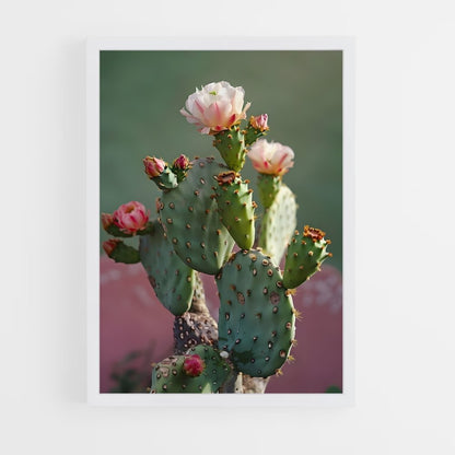 ap-cactus-4 cadre Blanc