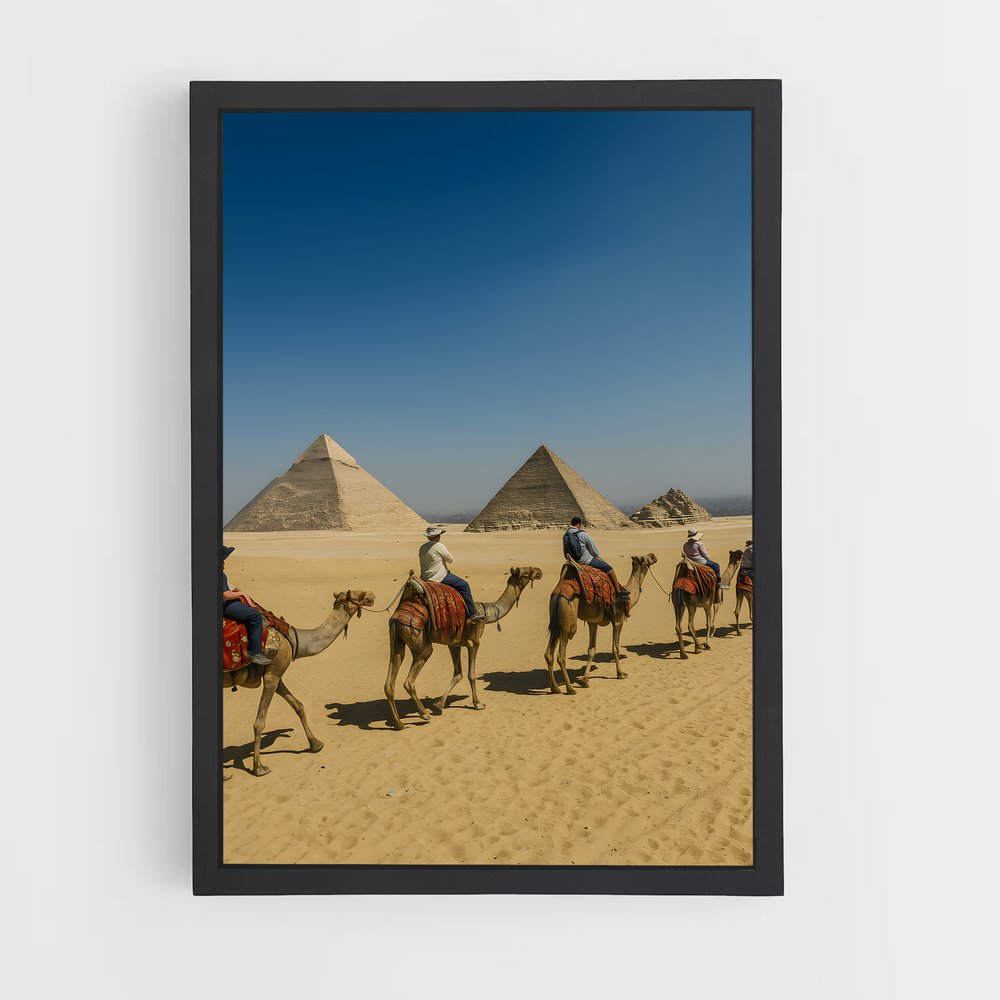 ap-cairo-6 cadre Noir