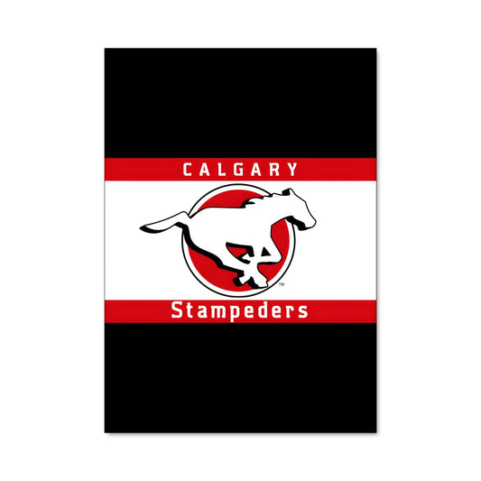 Poster Calgary Spirit