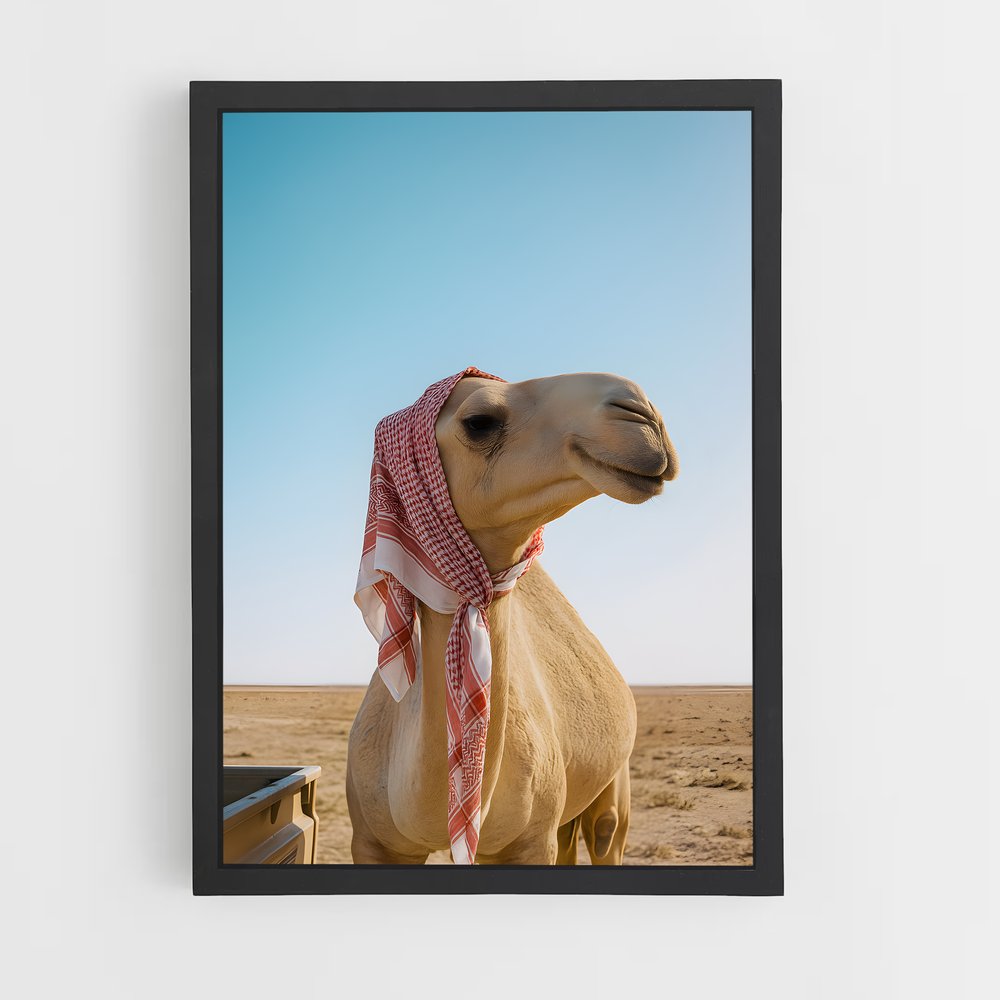 ap-camel-6 cadre Noir