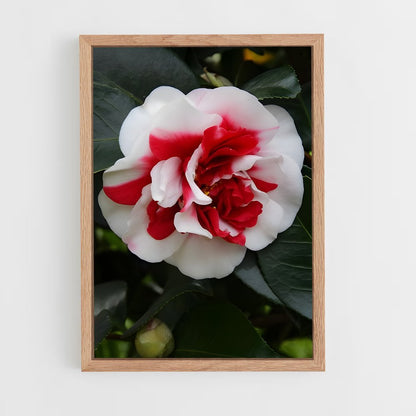 ap-camellia-6 cadre Bois clair