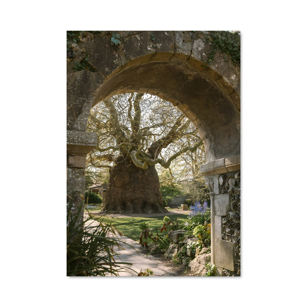 Poster La Voie des Arches