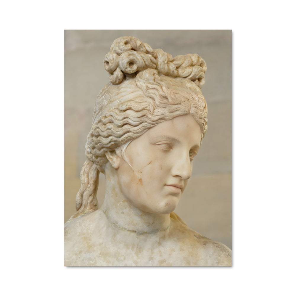 Poster Venus de Capitole
