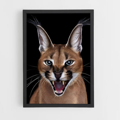 ap-caracal-10 cadre Noir
