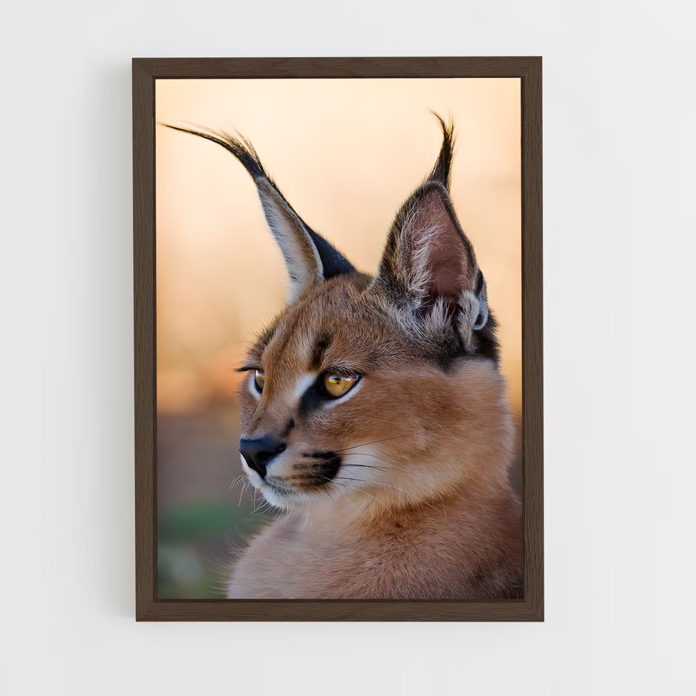 ap-caracal-4 cadre Bois foncé