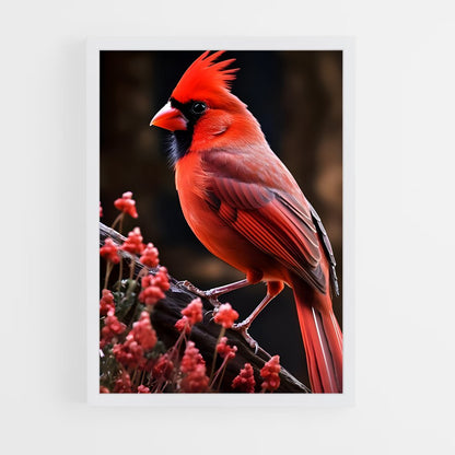 ap-cardinal-3 cadre Blanc