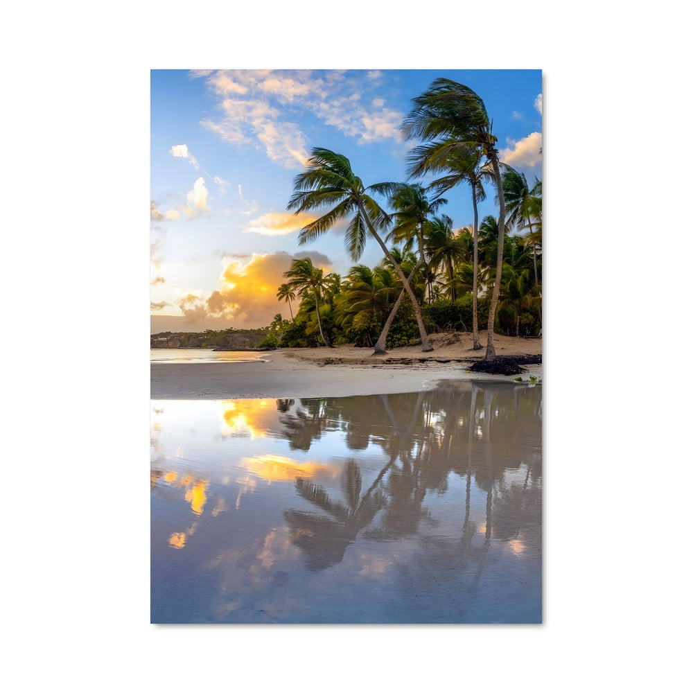 Poster Coucher de Soleil Caraïbe