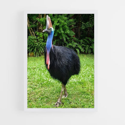 ap-cassowary-10 cadre Blanc