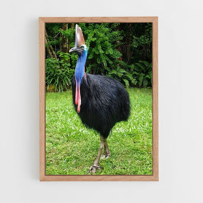 ap-cassowary-10 cadre Bois clair
