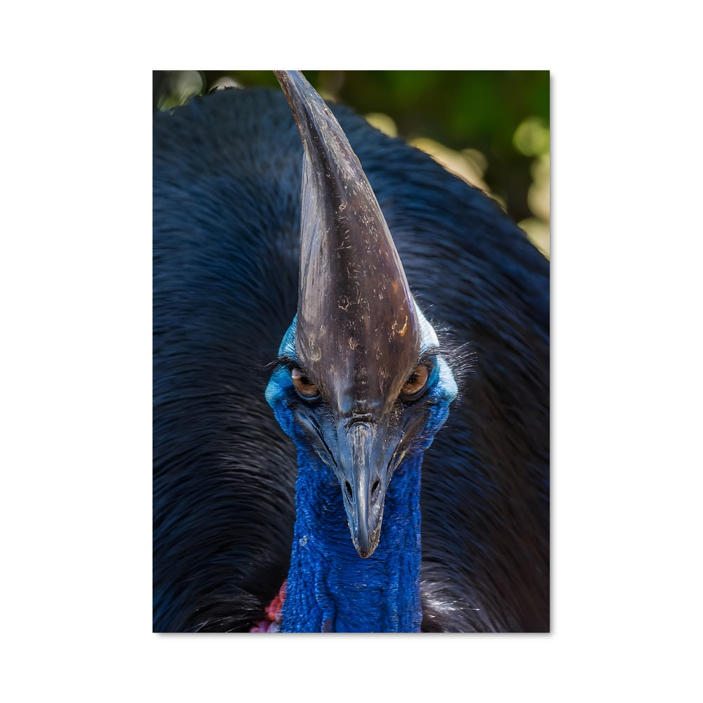 Poster Le Casque Bleu