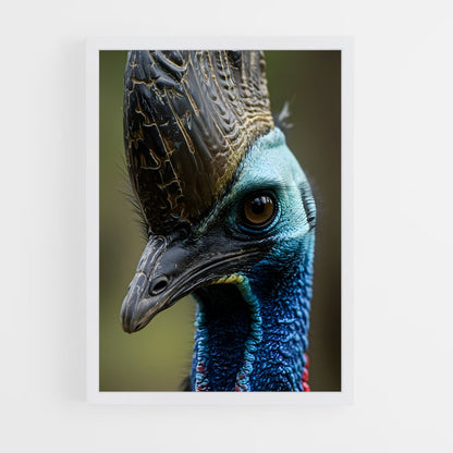 ap-cassowary-4 cadre Blanc