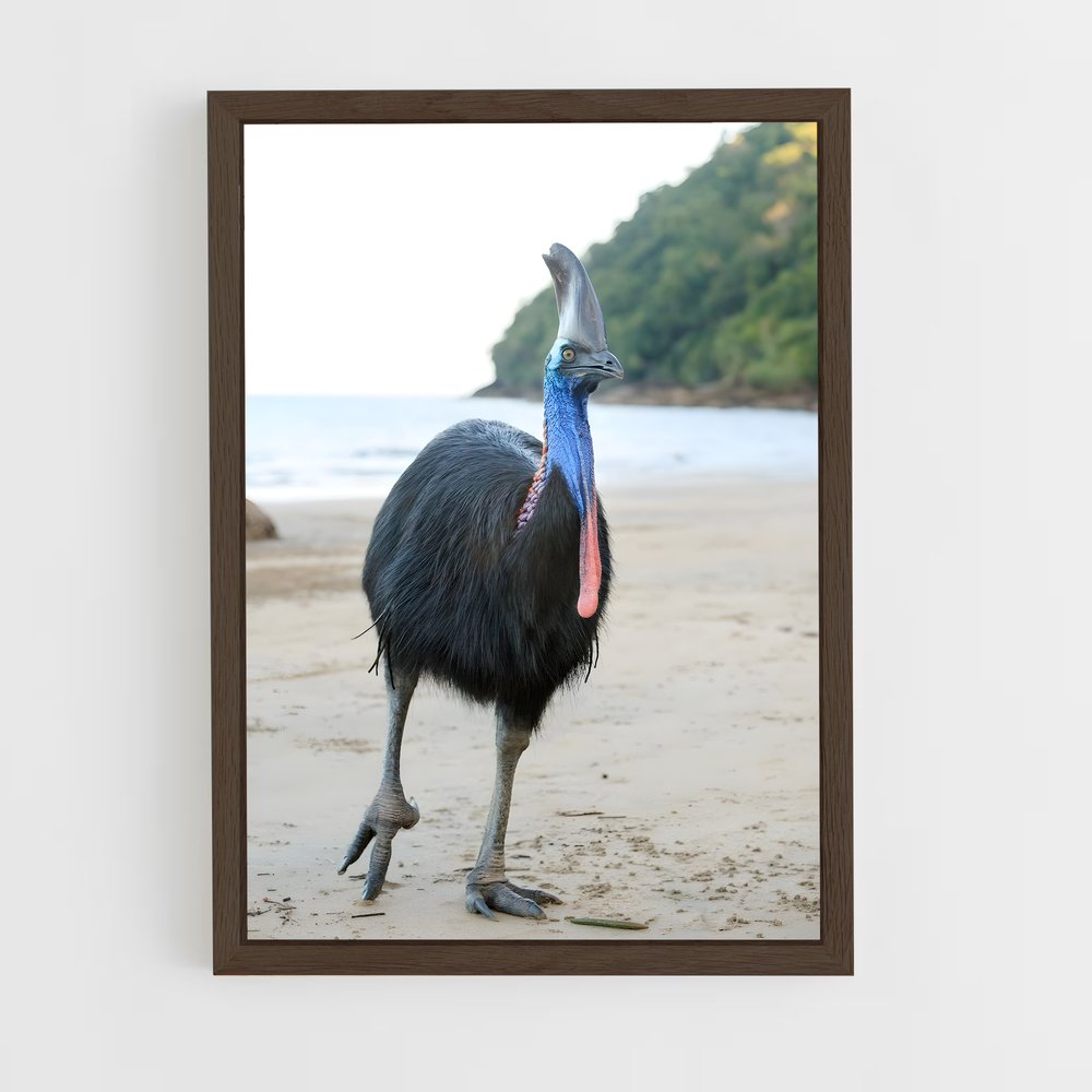 ap-cassowary-6 cadre Bois foncé