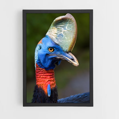 ap-cassowary-7 cadre Noir