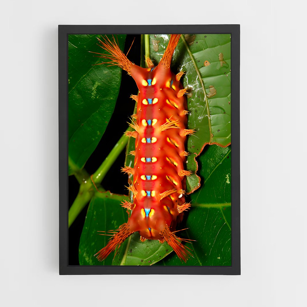 ap-caterpillar-7 cadre Noir
