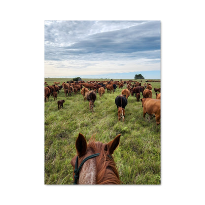 Poster Prairie Sauvage