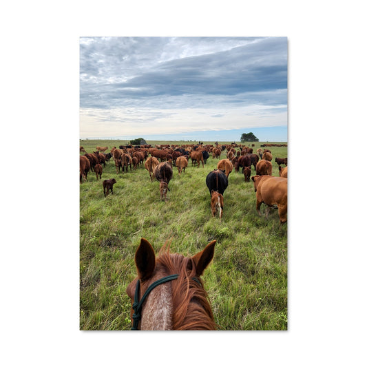 Poster Prairie Sauvage