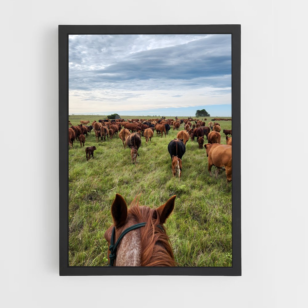 ap-cattle ranch-2 cadre Noir