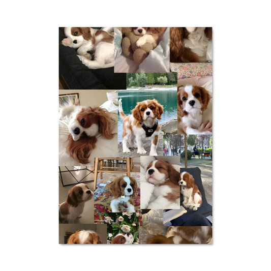 Poster Émotions Canines