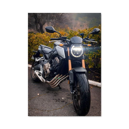 Poster Cb650f 82274