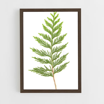 ap-cedar-3 cadre Bois foncé
