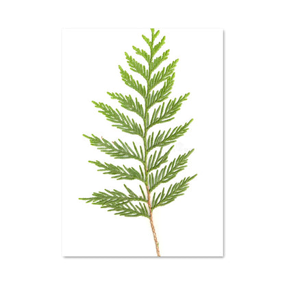 Poster Écorce d'Émeraude