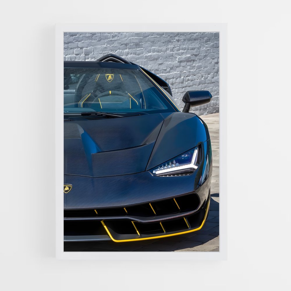 ap-centenario roadster-3 cadre Blanc