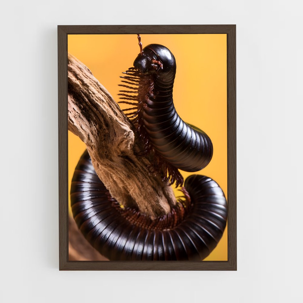 ap-centipede-6 cadre Bois foncé