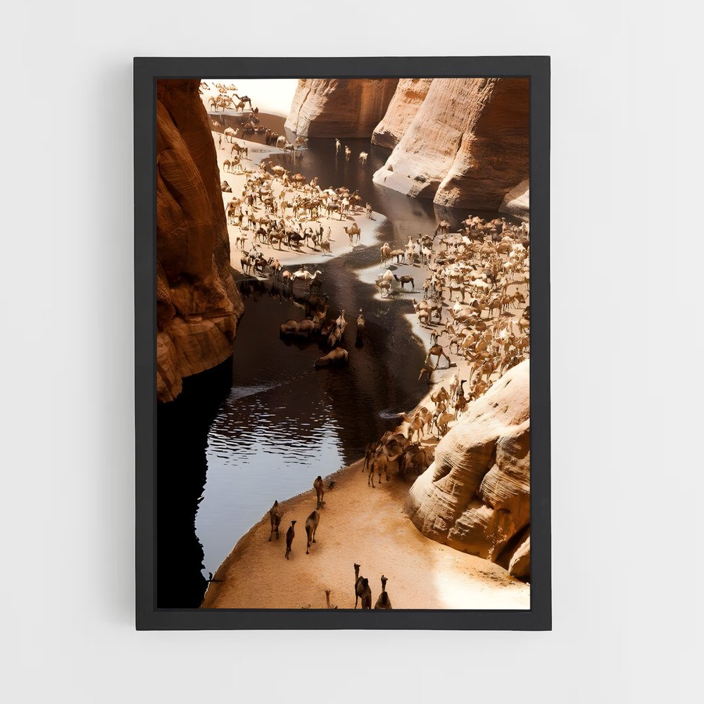 ap-chad-1 cadre Noir