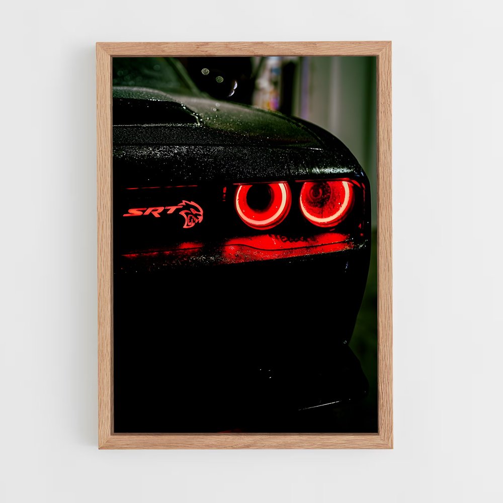 ap-challenger srt demon-10 cadre Bois clair