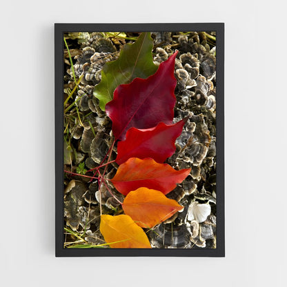 ap-changing leaves-3 cadre Noir