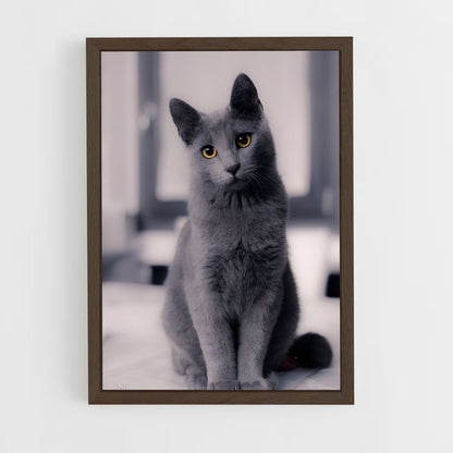 ap-chartreux-1 cadre Bois foncé