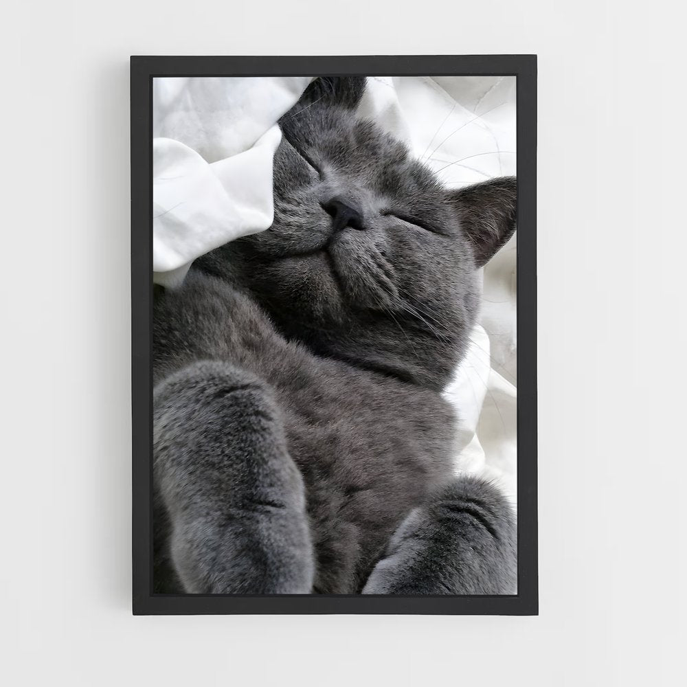 ap-chartreux-2 cadre Noir