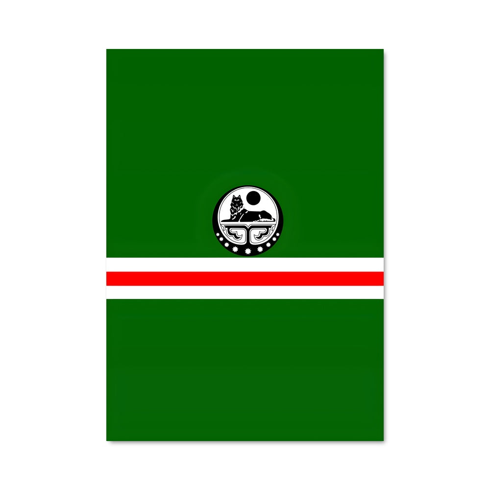 Poster L'Envol du Drapeau